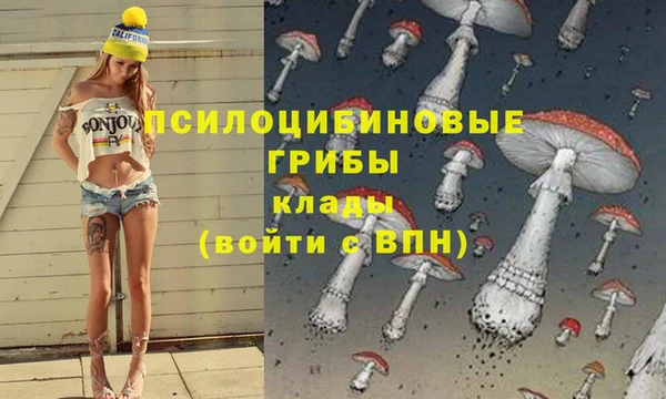 ALPHA-PVP Верея