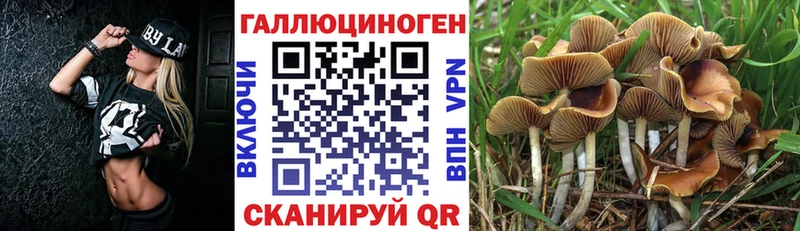 Галлюциногенные грибы мухоморы  Барнаул 